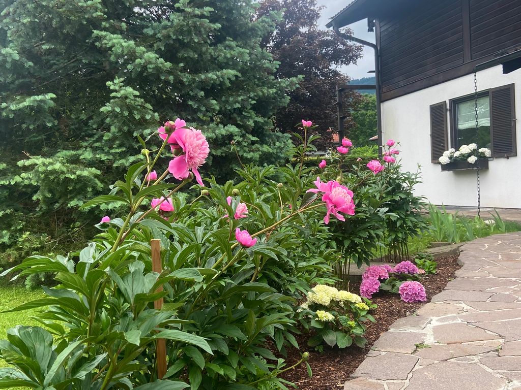 Haus Eingang