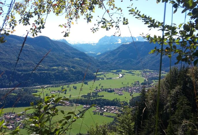 Bild 7