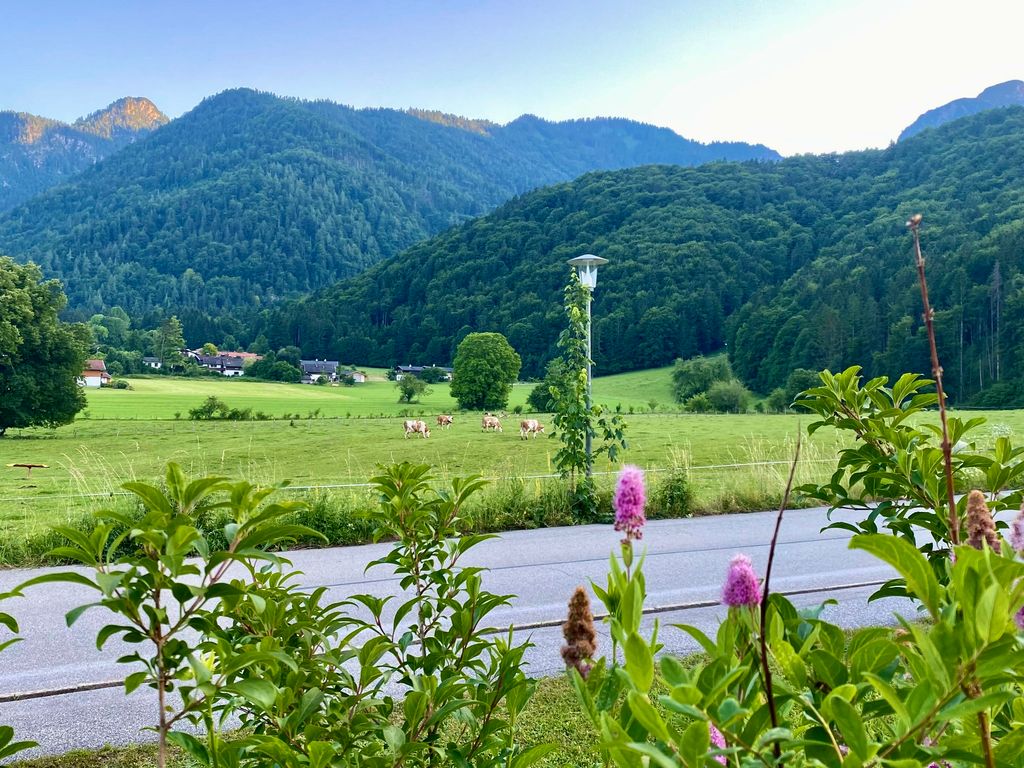 Ausblick von der Terrasse