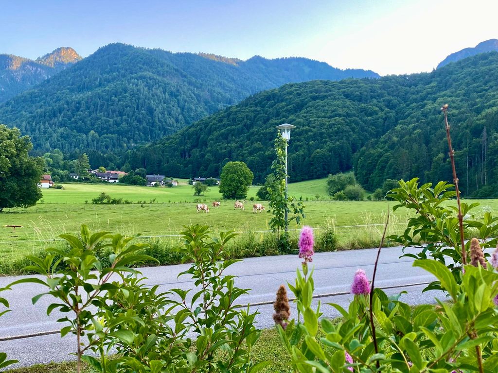 Ausblick von der Terrasse