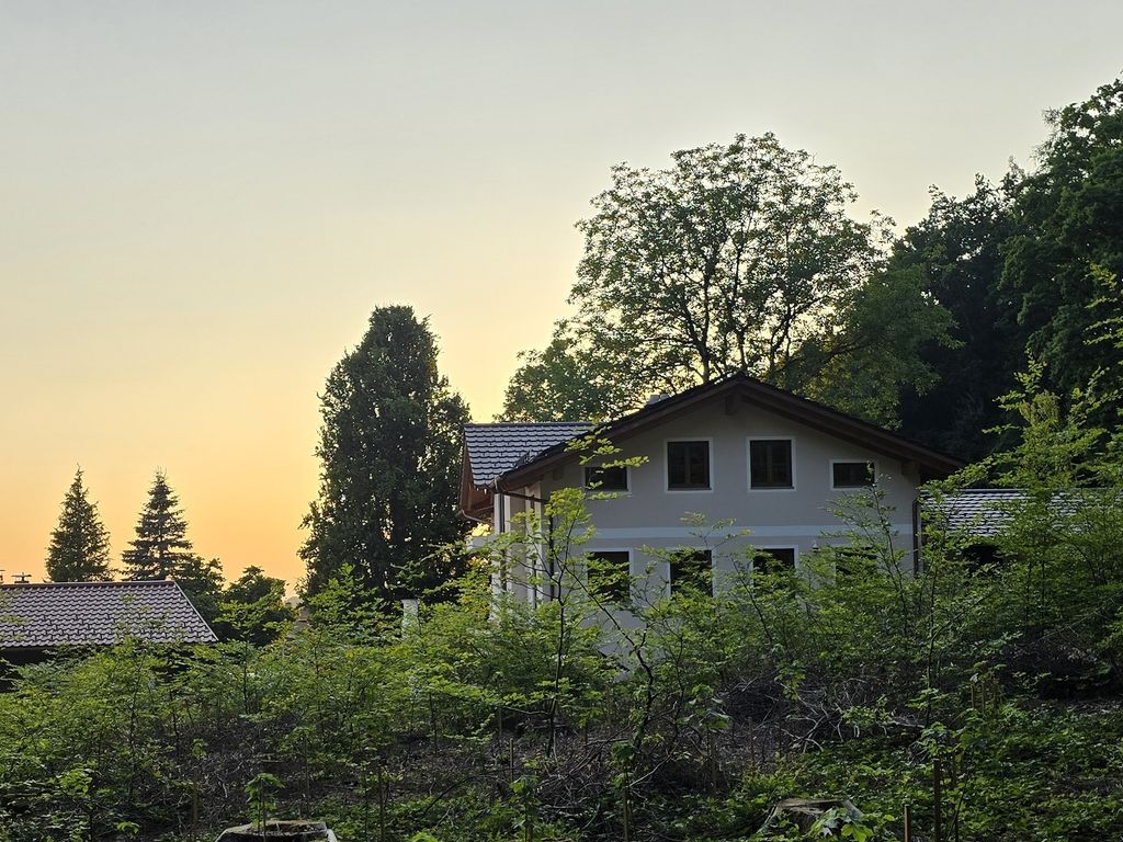 Blick vom Wald auf Haus und Sonnenuntergang