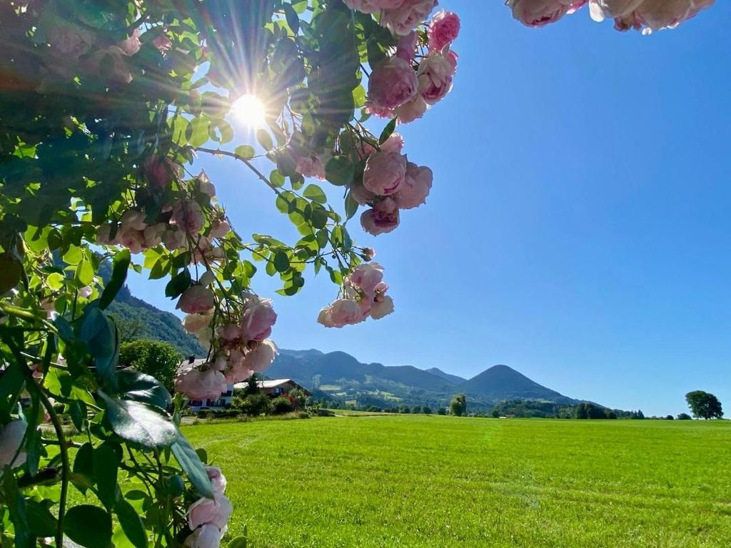 Blick Richtung Wendelstein