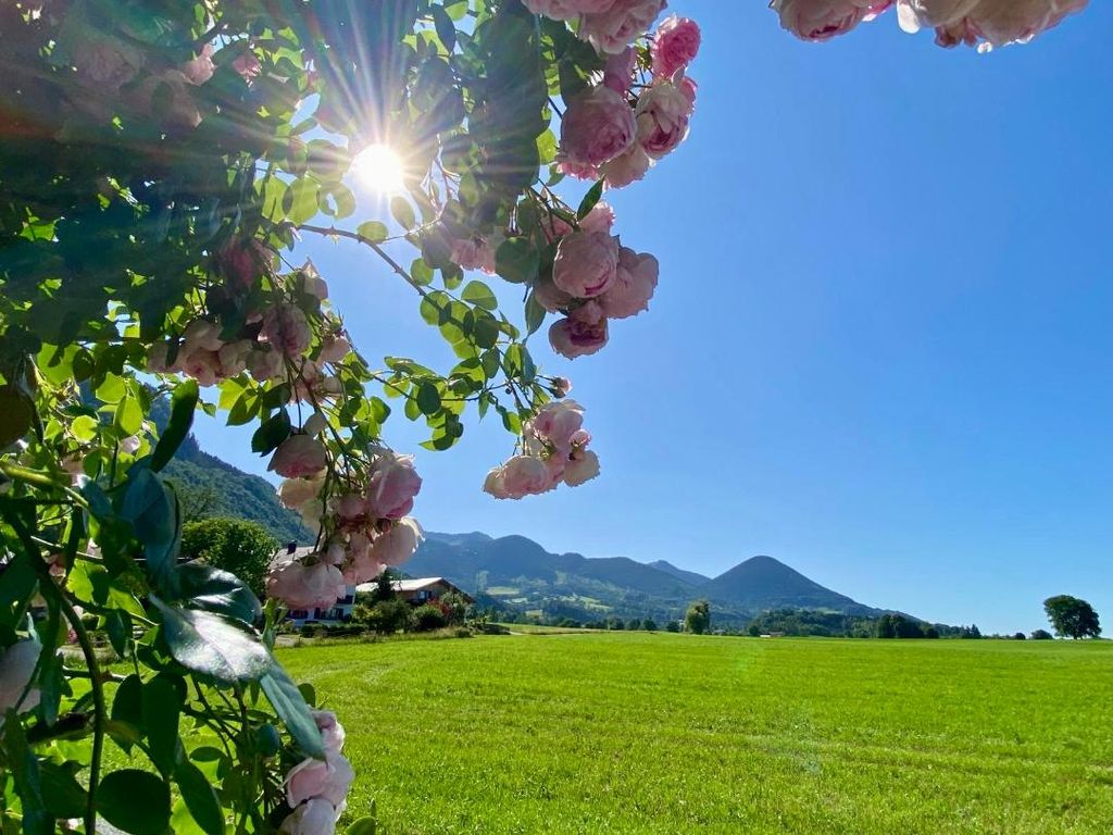 Blick Richtung Wendelstein