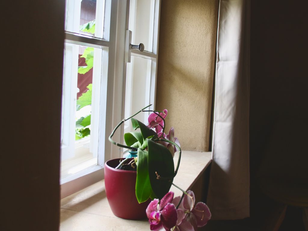 Fenster