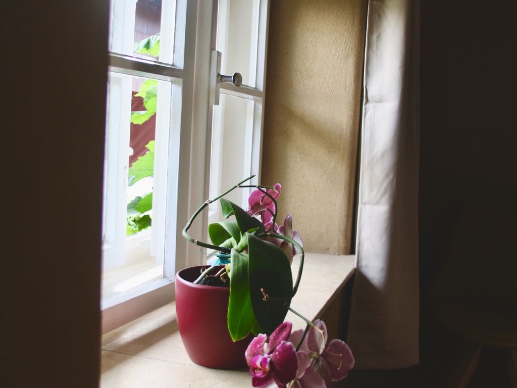 Fenster