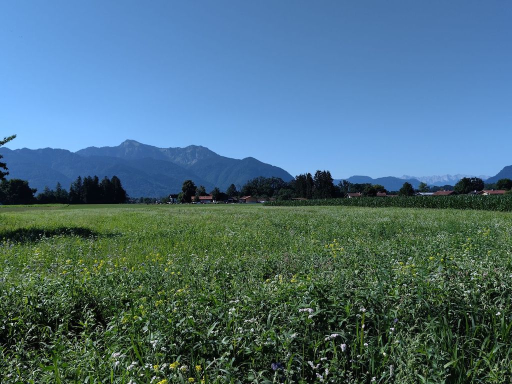 Feldwies Bergsicht