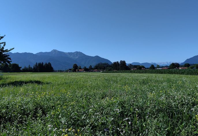 Chiemsee Apartment 17