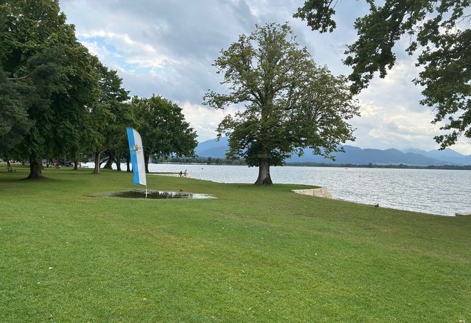 Bild 15