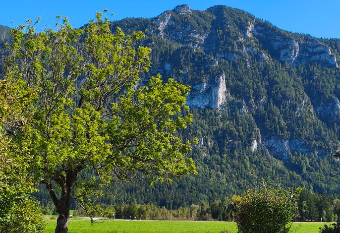 Alpen-Oase