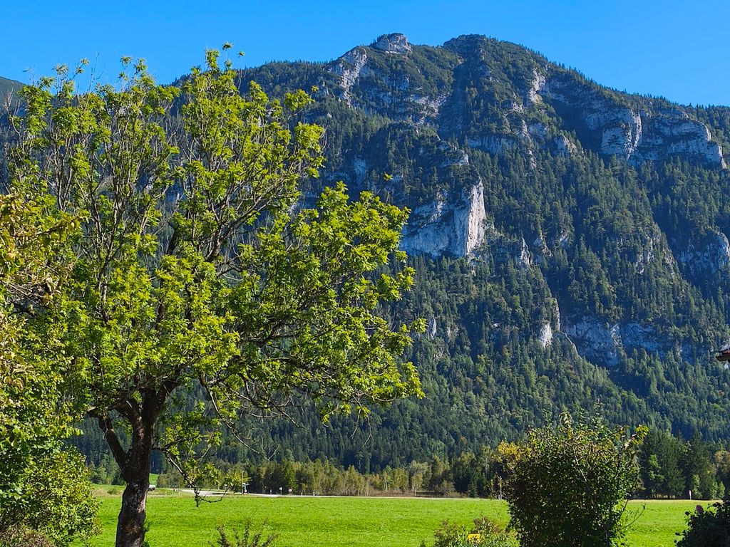 Wiesen- und Bergpanorama von Eck