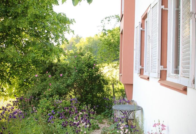 Bild 14