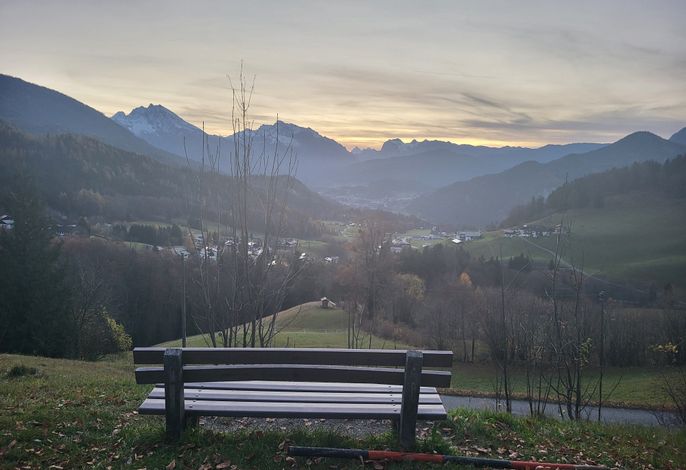 Bild 51