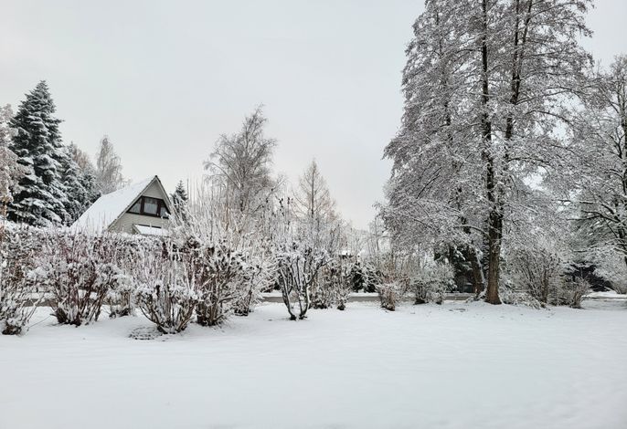 Bild 36