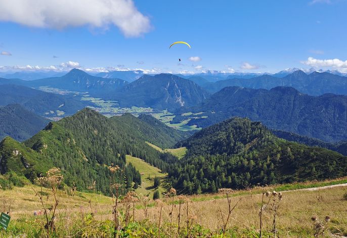 Bild 22