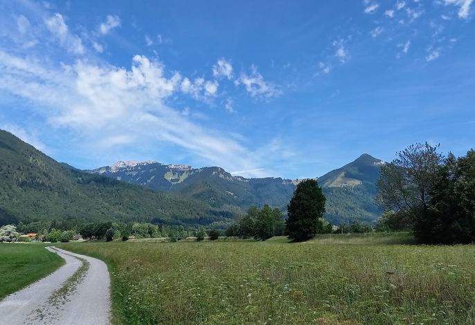 Ferienwohnung im Grünen – Foto 5