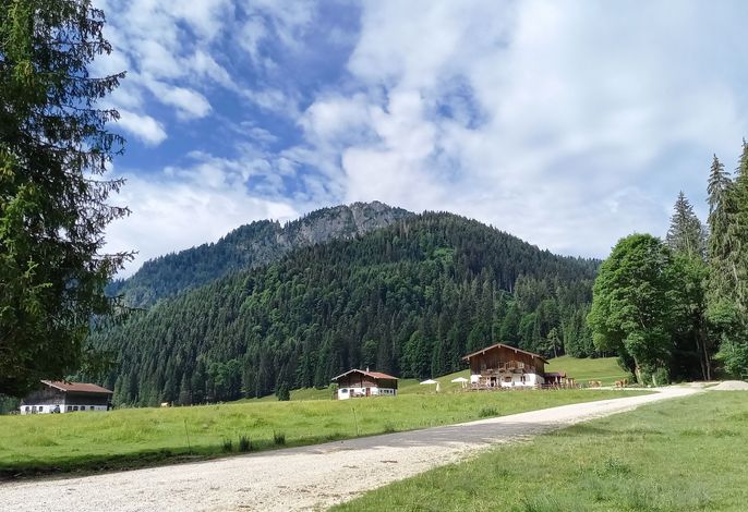 Ferienwohnung im Grünen – Foto 2