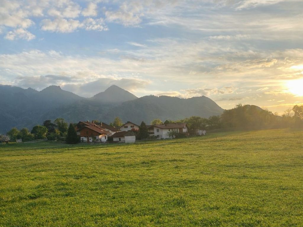 Sommerstimmung am Hof