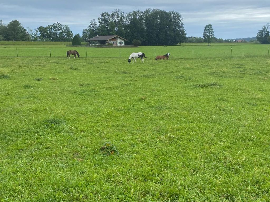 Aussicht nach Westen