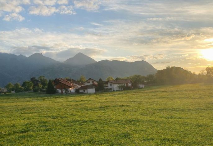 Bachwagnerhof