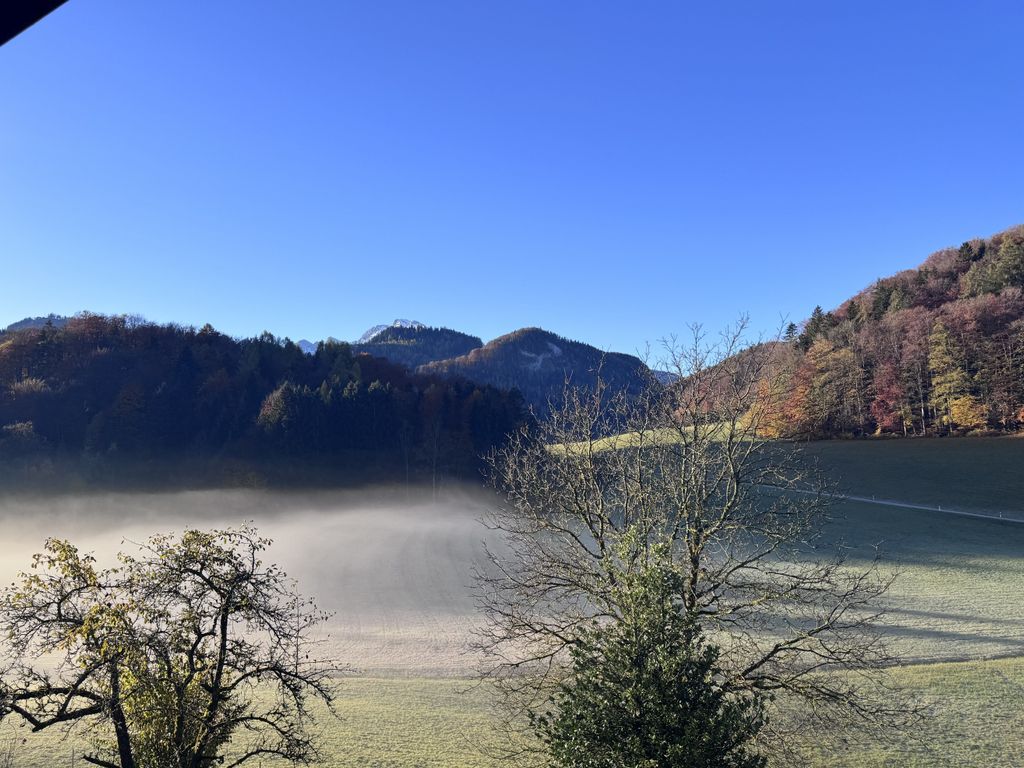 Ausblick Ferienwohnung Hoisenlehen