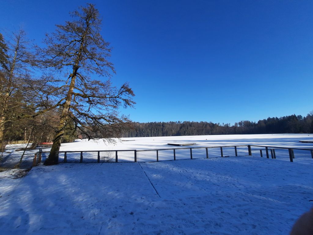 Tüttensee in Eis