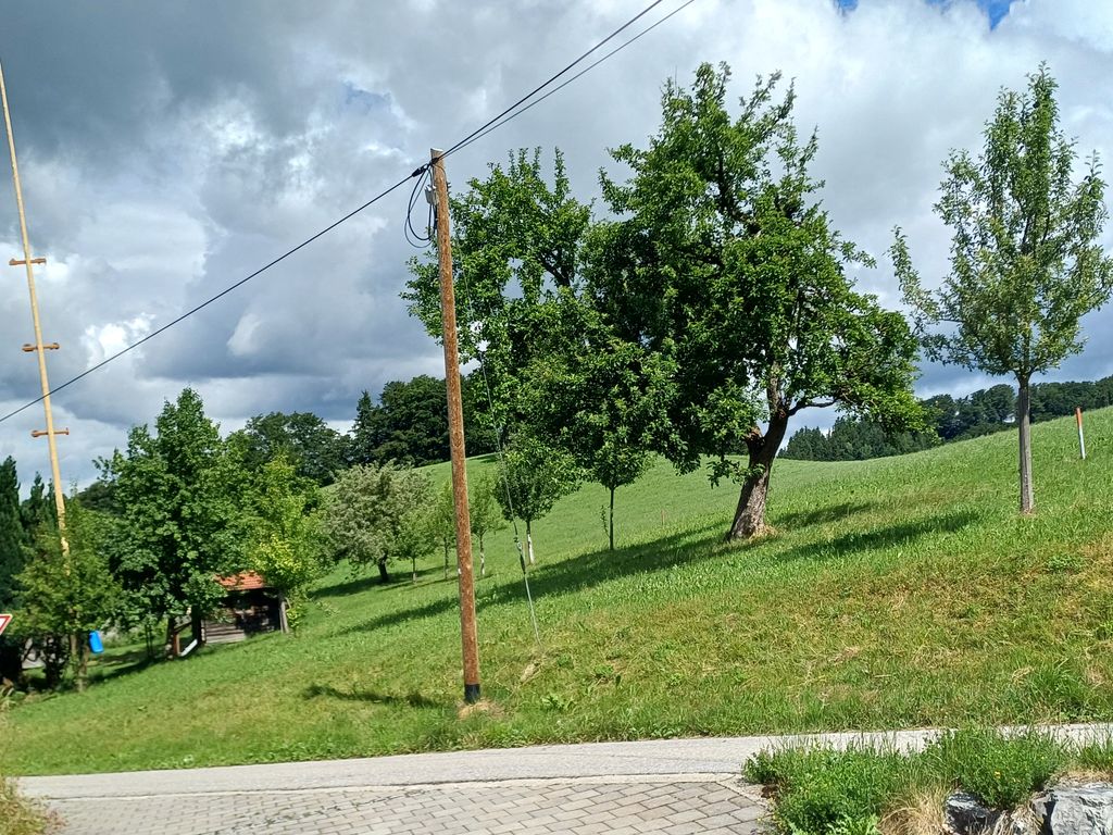 Obstanger