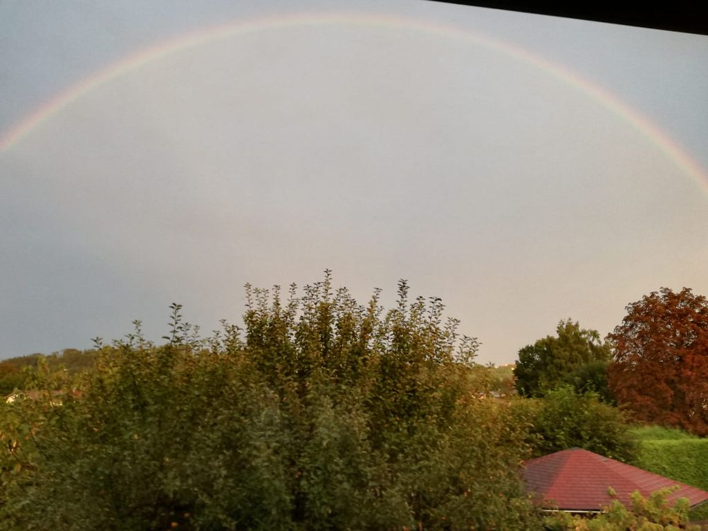 Nach dem Regen