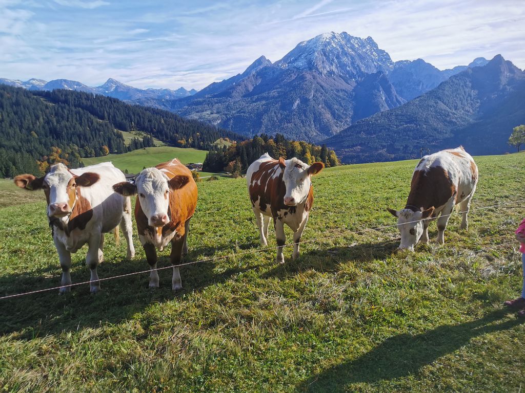 Stöcklhof