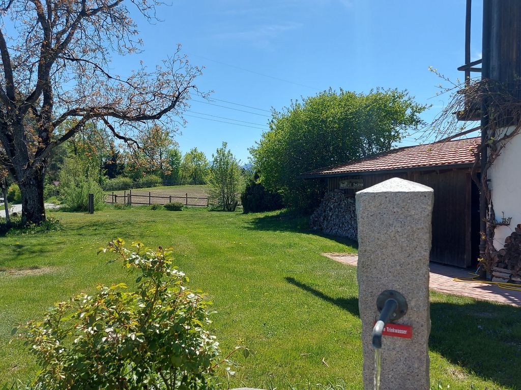 Blick in den Garten