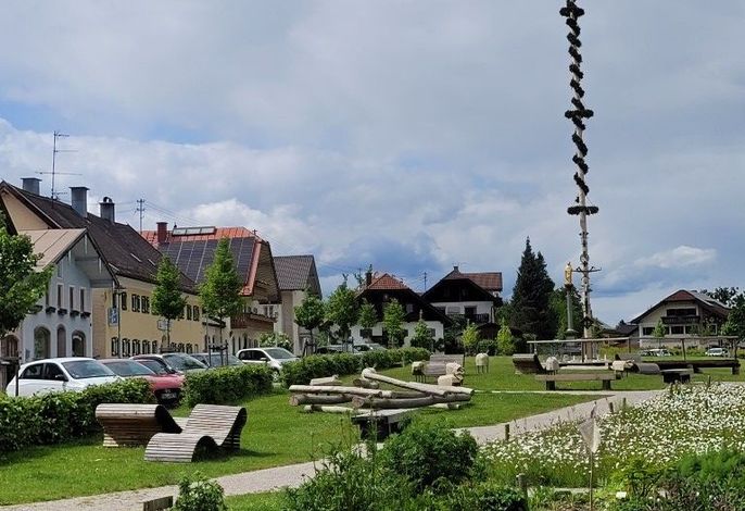 Bild 9