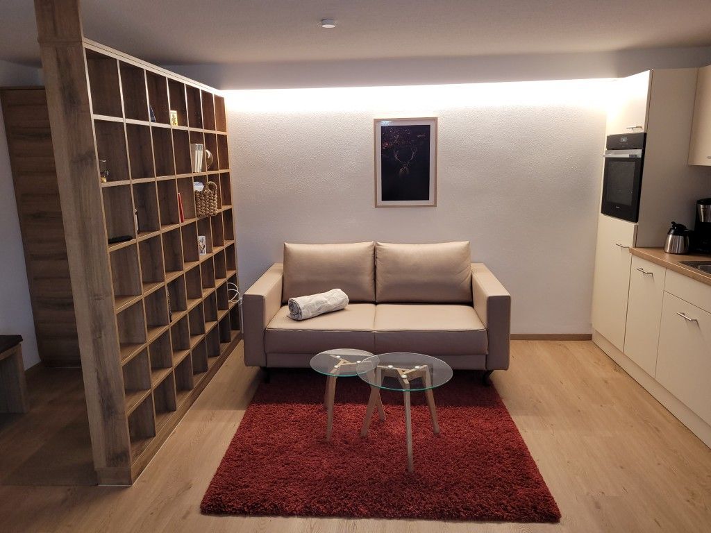 Fernsehcouch mit SchnickSchnack Regal + Bild