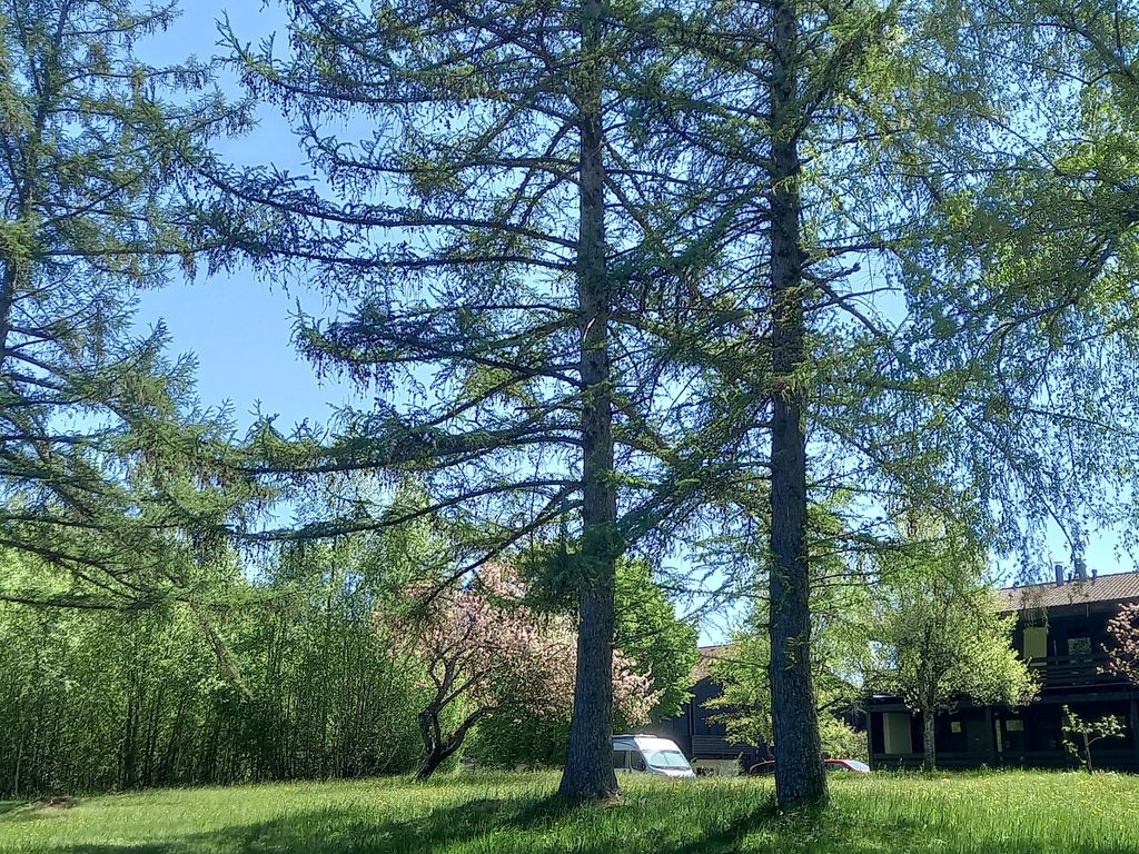 Blick in die Natur