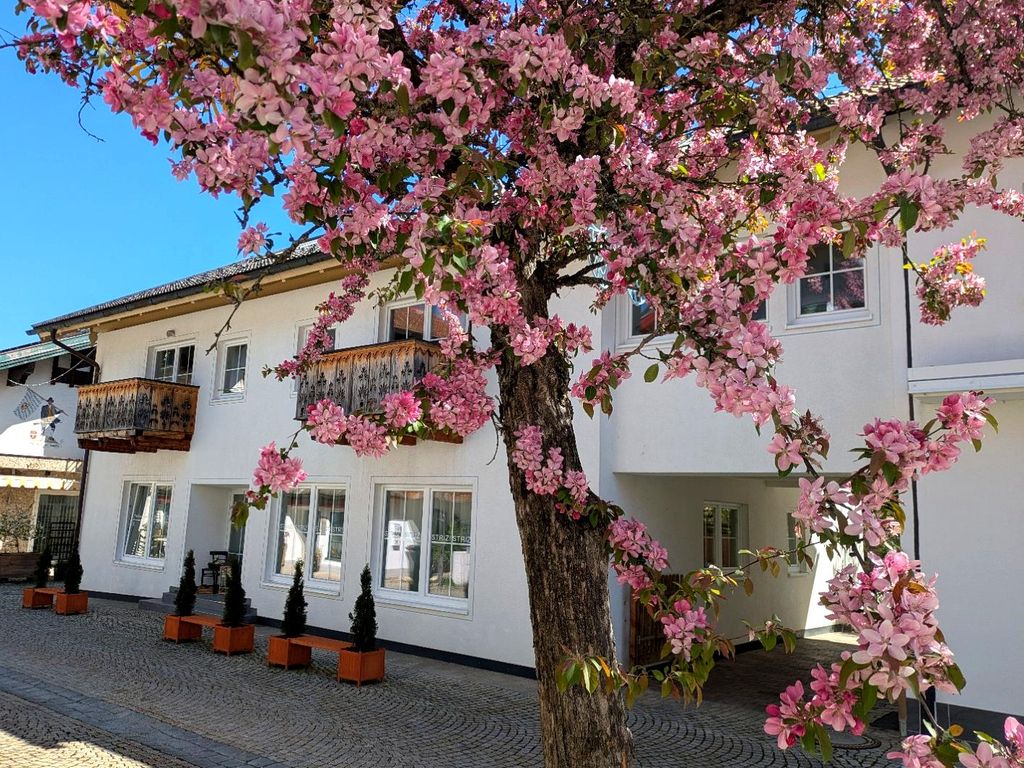Aussenansicht Frühling