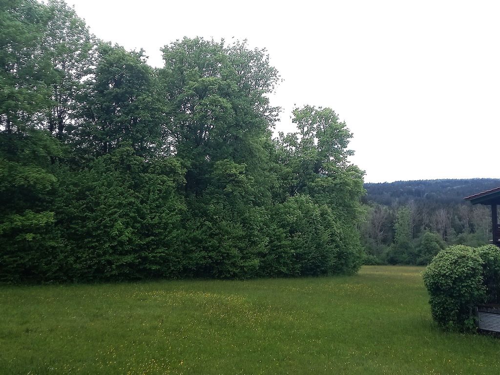 Aussicht ins Grüne