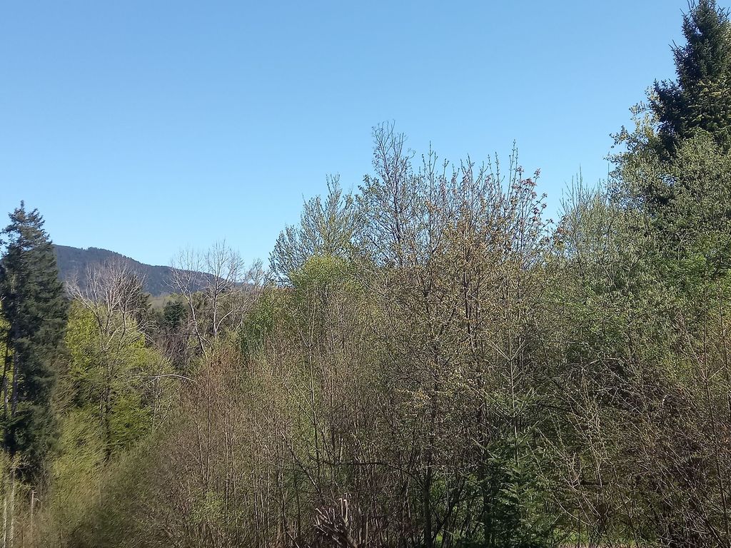Aussicht vom Balkon