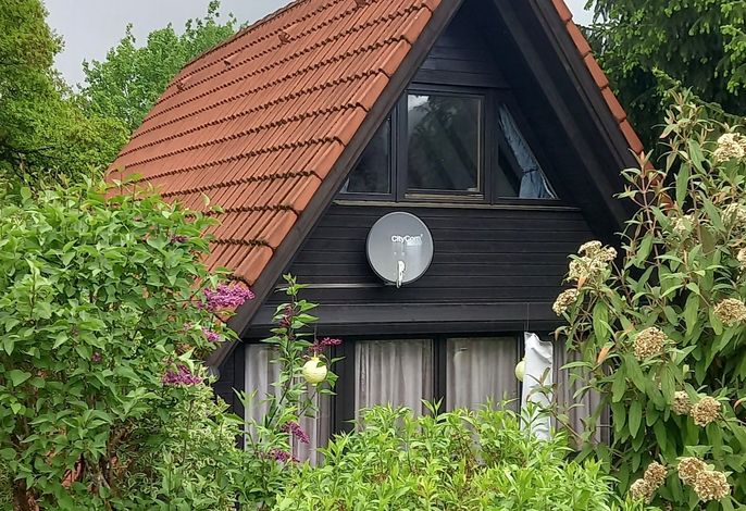 Hauptbild