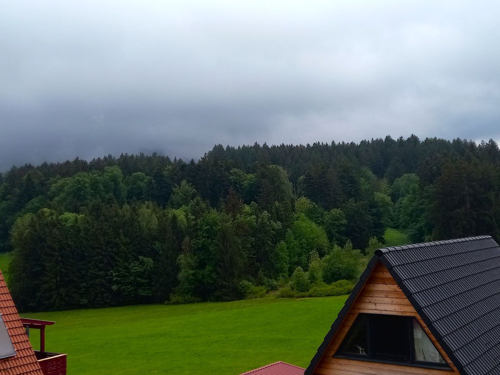 Ausblick
