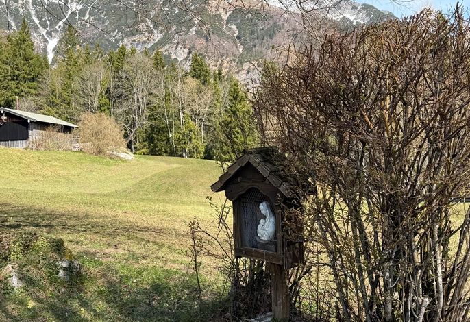 Bild 18