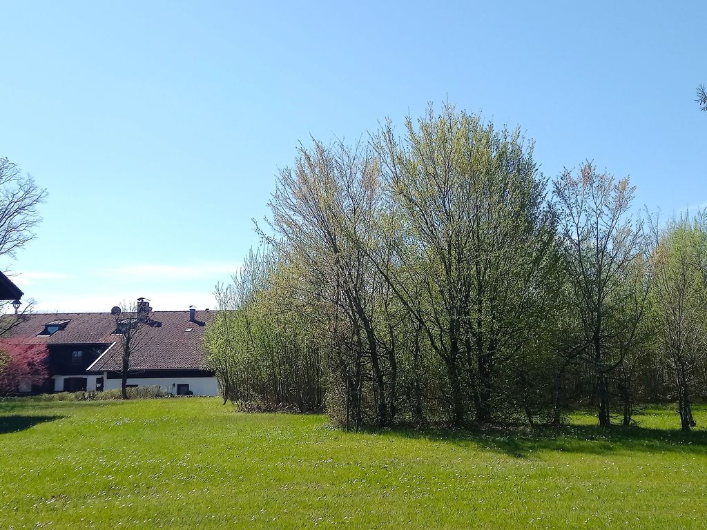 Aussicht vom Balkon