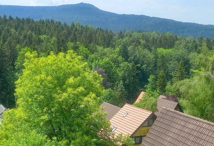 Ferienwohnung Lärch 17c