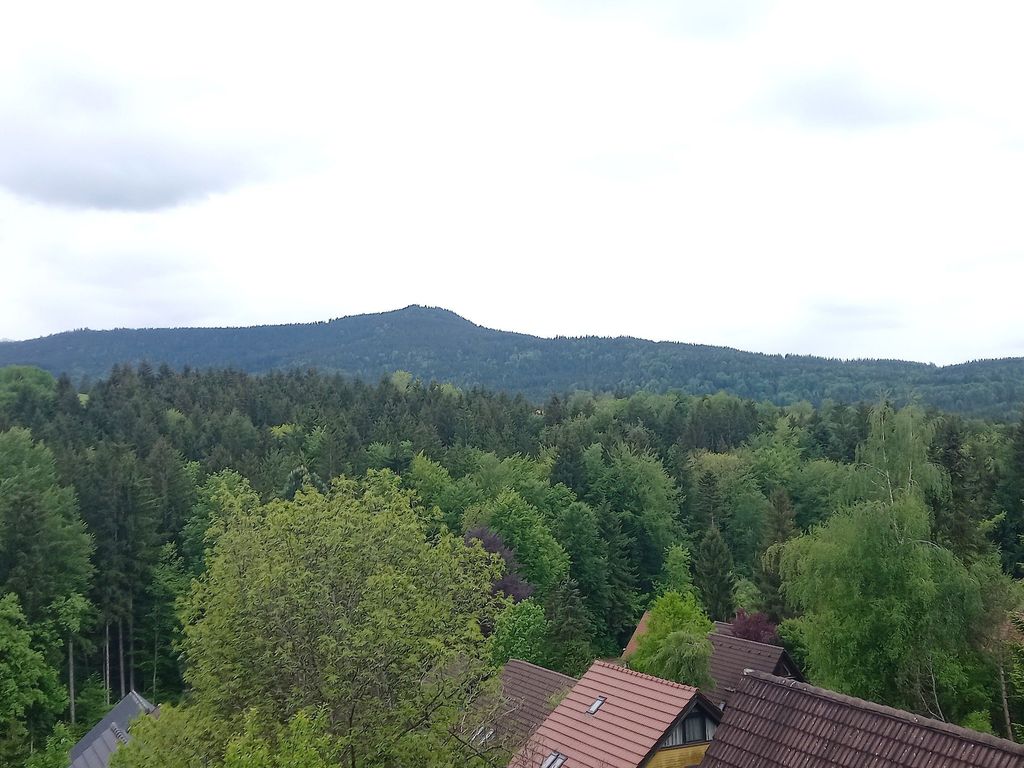 Ausblick