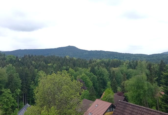 Ferienwohnung Lärch 17b