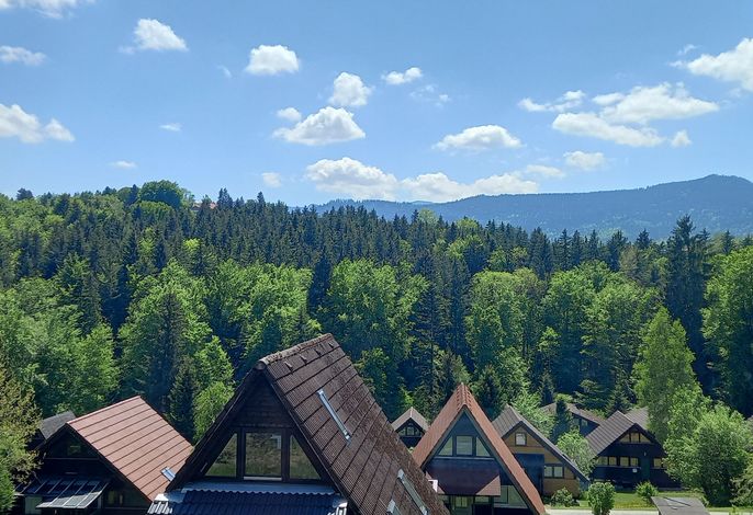 Ferienpark Vorauf Ferienwohnung Typ C Lärchenstraße 25a