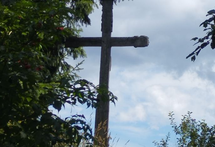 Bild 15
