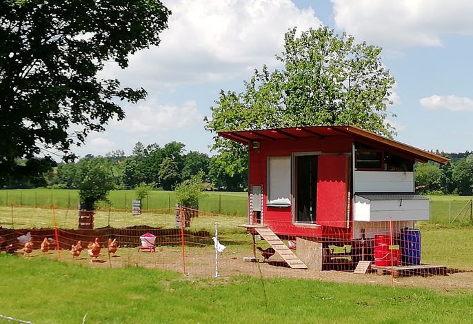 Bild 13