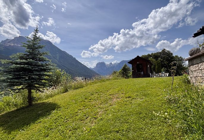 Bild 7