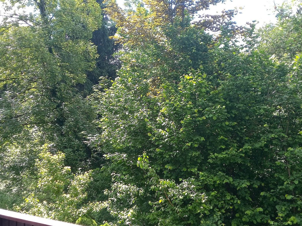 Natur Pur