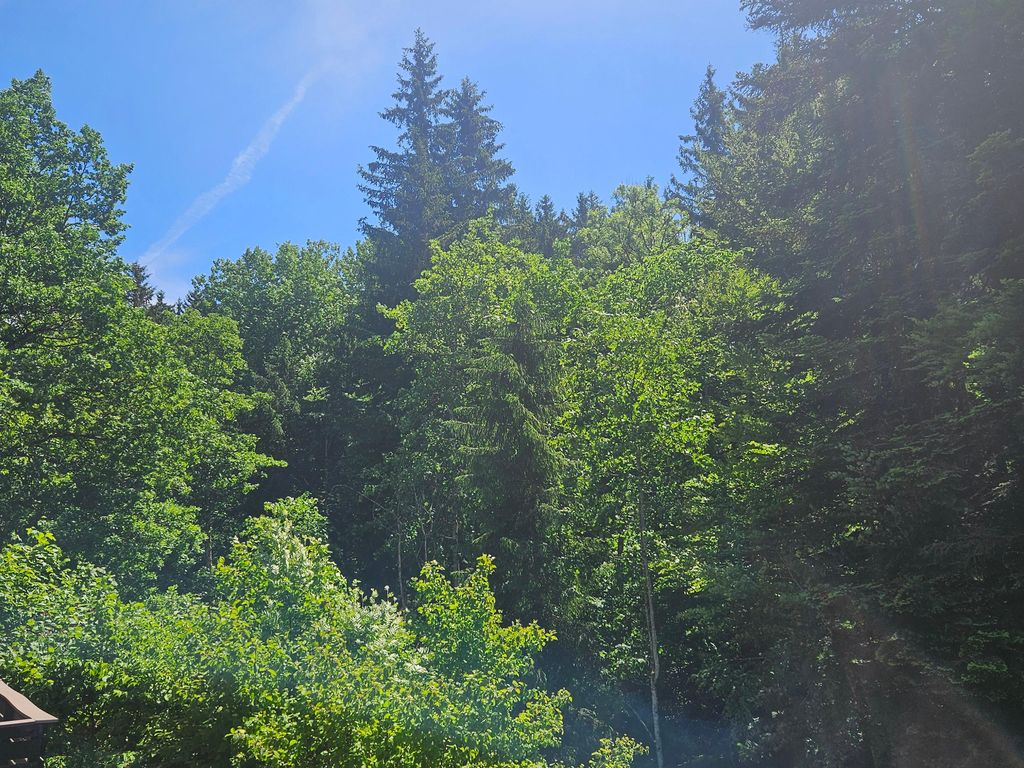 Blick in die Natur