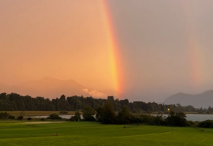 Bild 19