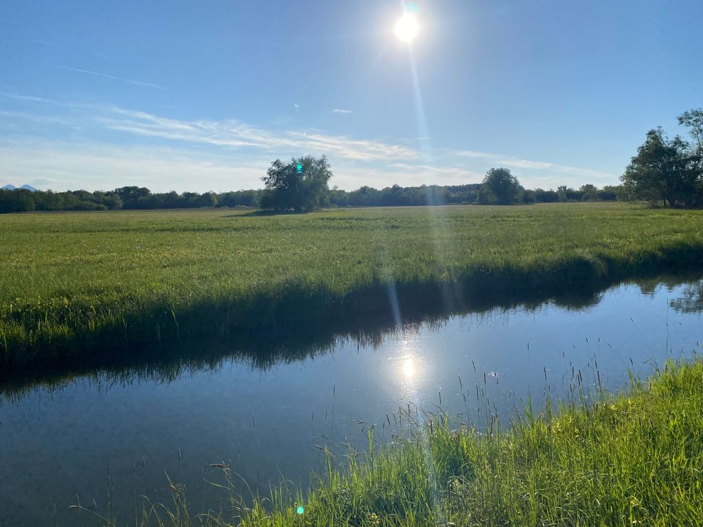Hirschauer Moor